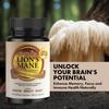 Healthy Day Supplements Lions Mane Mushroom Cognition Capsules - 120 Count | Organic, Gluten Free, Alpha Brain Supplement for Adults | Brain Vitamins & Focus Nootropic | Made in USA view 2