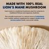 Healthy Day Supplements Lions Mane Mushroom Cognition Capsules - 120 Count | Organic, Gluten Free, Alpha Brain Supplement for Adults | Brain Vitamins & Focus Nootropic | Made in USA view 3