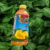 12 bottle MANGO NECTAR THE TASTIEST MANGO JUICE IN THE WORLD by morr 16.45 OZ or 500 ml per bottle