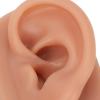 Pair Reusable 3D Realistic Silicone Ear Piercing Practice for Beginners Acupuncture Training Kit Earring Display Human Ear Size view 4