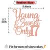 Rose Gold Glitter Young & Sweet Only 17 Cake Topper, Dancing Queen 17/Happy 17th Birthday/Holy Shit You're 17, Funny 17th Birthday Party Decorations view 2