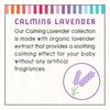 Little Twig 2-in-1 Baby Wash, Hypoallergenic Body Wash with Organic Ingredients, Baby Bath Essentials, Calming Lavender, 17 fl. oz. (Pack of 2) view 4