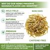 50 Bags Olive Leaf Tea Dried Olive Leaf Herbal Tea (Olea Europaea) - 50 Count 1.5 g Bags Hojas De Olivo Secas view 3