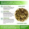 4 oz. Motherwort Tea Dried Motherwort Herb Tea (Leonurus Cardiaca) - 113g Leonurus Cardiaca (Cola De Len) view 3