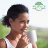 4 oz. Chickweed Herb Chickweed Tea (Stellaria Media) - 113g (4 oz) Herbal Tea Hierba De La Gallina Capiqui view 4