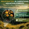 4 oz. Dandelion Leaf Root Tea Dandelion Tea Herbal (Taraxacum) - 113g Herbhojas Y Raz De Diente De Len view 2