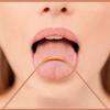 3pcs copper tongue cleaner for kids & adults ayurvedic tongue scraper for bad breath easy to use with travel capsule plastic tooth brush paste holder flexible design for health, oral care tool -3 pack view 3