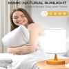 OYADISIIOP Light Therapy Lamp, 10000 Lux Daylight Lamp with 3 Color Temperatures, Adjustable Brightness, Timer & Memory Function, Sunlight Lamp with Remote Control(Grain Base White Shade) view 3