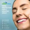 Clean Idea EcoFlossers Charcoal 300ct, Eco Friendly Flossers for Adults & Kids, Everyday Dental Floss Picks, Easy on Gums Floss Picks for Teeth, Tooth Flossers view 3