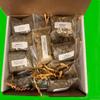 20 Herb Wiccan Apothecary Kit - Witchcraft, Wiccan, Pagan Herb Starter Kit - 40mm Roll of Easy Light Charcoal - Shipped in Sturdy Cardboard Storage Box(9"x6"x3") view 2