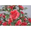 Artificial Bonsai Artificial Bonsai Natural Jade Ornaments Pink Peony Flower Jade Potted Decorative Bonsai Desk Display Pot Ornaments for Home Office view 3