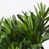 Artificial Bonsai Creative Simulation Bonsai Small Artificial Bonsai Tree Plants with Ceramic Pots Handmade Bonsai Decoration for Home Office for Home Office view 3