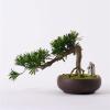 Artificial Bonsai Creative Simulation Bonsai Small Artificial Bonsai Tree Plants with Ceramic Pots Handmade Bonsai Decoration for Home Office for Home Office view 4