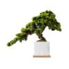 Artificial Bonsai Artificial Bonsai Tree Fake Plant Potted Tree Pine Bonsai Plant Faux Bonsai Indoor Windowsill Yard Desktop Display Trees Zen Decor for Home Office view 1