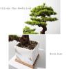 Artificial Bonsai Artificial Bonsai Tree Fake Plant Potted Tree Pine Bonsai Plant Faux Bonsai Indoor Windowsill Yard Desktop Display Trees Zen Decor for Home Office view 3
