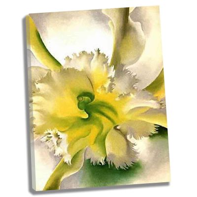 An Orchidby Georgia O'keeffe Canvas Painting Poster Print for Living Room Home Decor Canvas Wall Art for Bedroom Home Decor Ready to Hang(framed,70x91cm28x36inch)