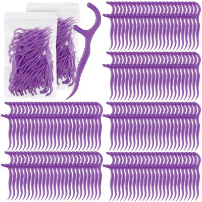 Baderke 600 Count Floss Picks Bulk Dental Flossers Picks for Adults Non Breakable Tooth Picks Flossers Teeth Cleaning Dental for Family Pack Travel(Dark Purple)