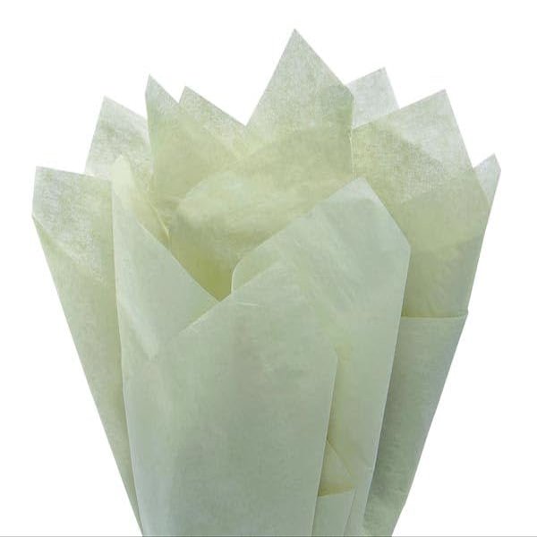 Soft Pine Gift Wrapping Tissue Paper 20x30 480 Pack by Feronia Packaging