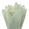 Soft Pine Gift Wrapping Tissue Paper 20x30 480 Pack by Feronia Packaging view 1