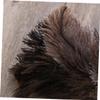 STOBAZA 4pcs Ostrich Washable Dust Mop Cleaning Brush Long Wooden Handle Dusting Wand for Room Kitchen Car view 4