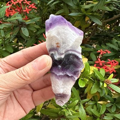 GAF TREASURES Wholesale Chevron Amethyst Points, 2-3" Natural Chevron Amethyst Points, Raw Chevron Amethyst Points Healing Crystals (Chevron Amethyst Points, 5 Points)