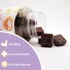 Safer Products Turkey Tail Mushroom Gummies - May Support Immune Health and Gut Microbiome - Black Cherry Flavor - Vegan, Non-GMO, Gluten-Free, Gelatin Free - 60 Count view 2