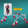 Anti-tilt Walking Frame, Adjustable Height Width, Lower Limb Trainer Rehabilitation Auxiliary Equipment, for Elderly, Handicapped view 4