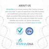 AffinityDNA Horse DNA Profiling | Home Sample Collection Kit for 1 Equine | Results in 10 Working Days | A Complete Genetic Test Kit with No Extra Fees view 2