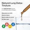 BIO KRAUTER Lung Detox Drops - Pure Vegan Lung Cleanse Liquid Form 2 Fl.Oz 28 Days of Supply - Blend Mullein, Elderberry, Stinging Nettle, Ginseng & Angelica Extracts - Respiratory Support view 4