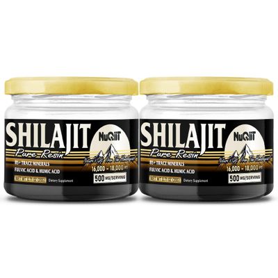 2 Packs 20g Shilajit Supplement for 80-Serving Supply - Support Immunity, Brain Health & More - 500mg Shilajit Pure Himalayan Organic with Natural Fulvic Acid, Humic Acid & 85+ Trace Minerals