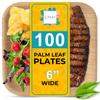 100% Natural 6 Palm Leaf Square Plate (100 pack), Compostable & Biodegradable Dinnerware for Catering, Birthdays, Halloween, BBQs, Thanksgiving, Alternative to Paper & Bamboo Plates Disposable view 1