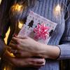 Abaodam 50pcs Box Star Pull Flower Ribbon Boxing Day Holiday Decoration Bow Present Bows for Presents Wine Bottles Pull Bows Gradient Bows Present Basket Pull Bows Mini Plastic Flower Pp view 3