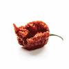 Unpretentious Whole Dried Carolina Reaper Chiles, Extremely Spicy Chiles, Hot Sauce (50 Count) view 3
