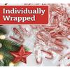 MINI CANDY CANES (100 MINI CANDY CANES) | Mini Candy Canes Red & White Made WITH REAL PEPPERMINT | Holiday Candy for Christmas, Santa Parade, ThanksGiving, Holidays and More | Free Creative Idea Booklet and Branded Bag Clip Included view 2