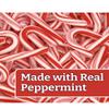 MINI CANDY CANES (100 MINI CANDY CANES) | Mini Candy Canes Red & White Made WITH REAL PEPPERMINT | Holiday Candy for Christmas, Santa Parade, ThanksGiving, Holidays and More | Free Creative Idea Booklet and Branded Bag Clip Included view 3