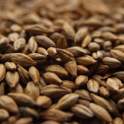 10LB William Crisp AMBER English Biscuit Malt MCRI7052