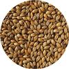 10LB William Crisp AMBER English Biscuit Malt MCRI7052 view 2