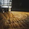 10LB William Crisp AMBER English Biscuit Malt MCRI7052 view 4