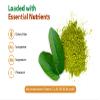 Guava Leaf Powder (100% Natural & Pure), Guava Leaf Tea, Vegan (16 Oz - 1 Pack) view 4