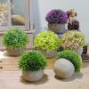 tdons Vintage semi-Round Grass Ball Bonsai Ornaments view 2