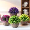 tdons Vintage semi-Round Grass Ball Bonsai Ornaments view 3