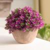 tdons Vintage semi-Round Grass Ball Bonsai Ornaments view 4