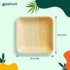 10 Inch Square Palm Leaf Plates (25-Pack) I Compostable Disposable Dinnerware | Premium Quality I Eco-Friendly Tableware Sustainable Heavy Duty like Bamboo Plates I Disposable Plates for Party view 2