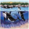 Orca Whale Note Cards Set of 10 cards & 10 envelopes view 1