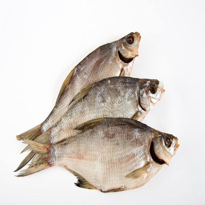 Dried Salted Lesh Fish (Jerky) Premium Quality