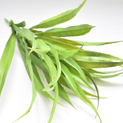 exnox Simulation Hanging Orchid Daffodil Simulation Gladioli Hanging Orchid Simulation Plant Wall Simulation Orchid Grass