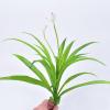 exnox Simulation Hanging Orchid Daffodil Simulation Gladioli Hanging Orchid Simulation Plant Wall Simulation Orchid Grass view 2