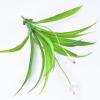 exnox Simulation Hanging Orchid Daffodil Simulation Gladioli Hanging Orchid Simulation Plant Wall Simulation Orchid Grass view 3