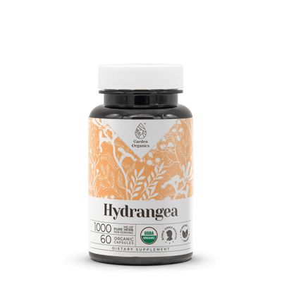 Hydrangea USDA Organic 60 Capsules | Circulatory System, High-Potency Natural Supplement | Certified Organic Vegetarian Capsules and Organic Hydrangea (Hydrangea arborescens) Dried Root (60 Capsules)