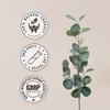 Thyme USDA Organic 120 Capsules | High-Potency Natural Supplement | Certified Organic Vegetarian Capsules and Organic Thyme (Thymus Vulgaris) Dried Leaf (120 Capsules) view 4